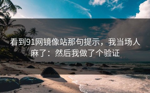看到91网镜像站那句提示，我当场人麻了：然后我做了个验证