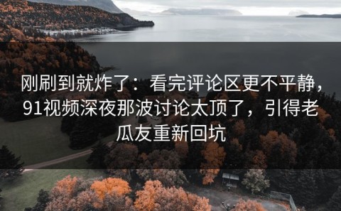 刚刷到就炸了：看完评论区更不平静，91视频深夜那波讨论太顶了，引得老瓜友重新回坑