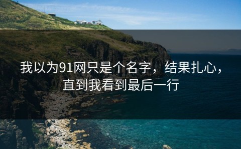 我以为91网只是个名字，结果扎心，直到我看到最后一行