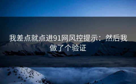 我差点就点进91网风控提示：然后我做了个验证