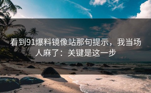 看到91爆料镜像站那句提示，我当场人麻了：关键是这一步