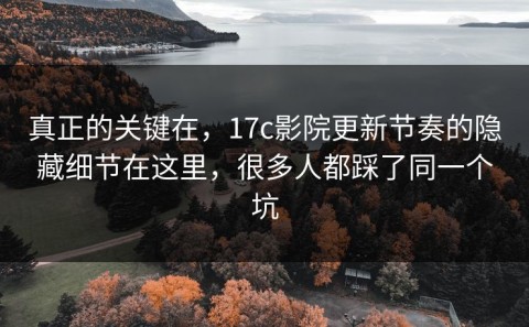 真正的关键在，17c影院更新节奏的隐藏细节在这里，很多人都踩了同一个坑