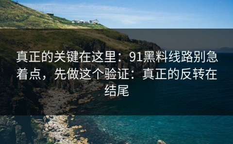 真正的关键在这里：91黑料线路别急着点，先做这个验证：真正的反转在结尾