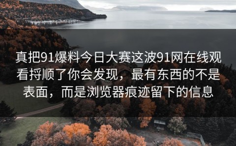 真把91爆料今日大赛这波91网在线观看捋顺了你会发现，最有东西的不是表面，而是浏览器痕迹留下的信息