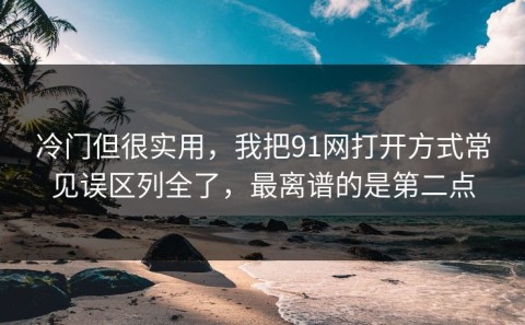 冷门但很实用，我把91网打开方式常见误区列全了，最离谱的是第二点