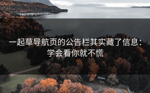 一起草导航页的公告栏其实藏了信息：学会看你就不慌