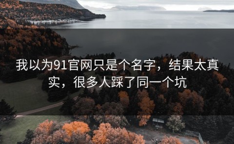 我以为91官网只是个名字，结果太真实，很多人踩了同一个坑