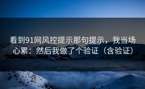 看到91网风控提示那句提示，我当场心累：然后我做了个验证（含验证）