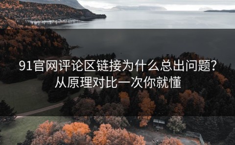 91官网评论区链接为什么总出问题？从原理对比一次你就懂