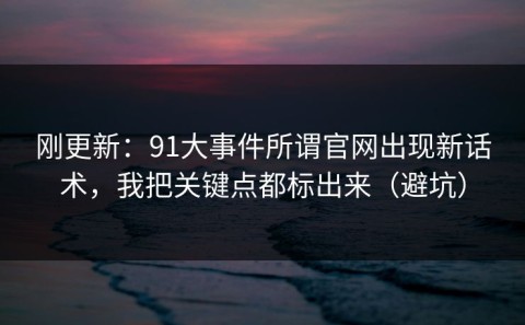 刚更新：91大事件所谓官网出现新话术，我把关键点都标出来（避坑）