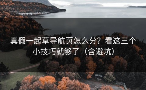真假一起草导航页怎么分？看这三个小技巧就够了（含避坑）
