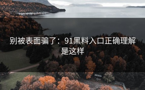 别被表面骗了：91黑料入口正确理解是这样