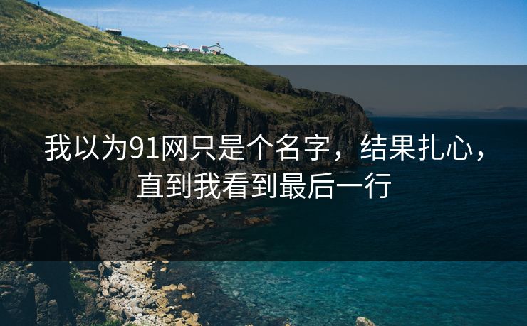 我以为91网只是个名字,结果扎心,直到我看到最后一行 我以为91网只是个名字,结果扎心,直到我看到最后一行