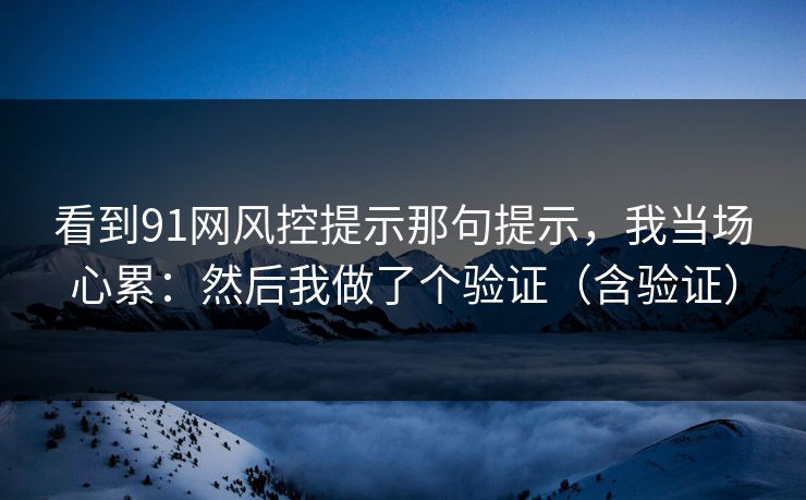 看到91网风控提示那句提示，我当场心累：然后我做了个验证（含验证）