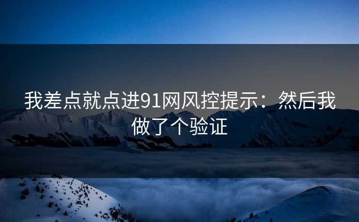 我差点就点进91网风控提示：然后我做了个验证